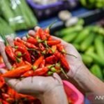 Harga pangan Sabtu ini, cabai rawit Rp96.200/kg dan telur ayam Rp29.350/kg
