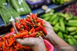 Harga pangan Sabtu ini, cabai rawit Rp96.200/kg dan telur ayam Rp29.350/kg