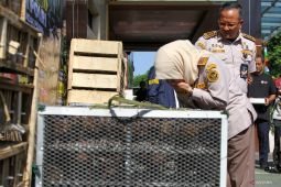 Kasus penyelundupan burung dari Vietnam
