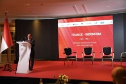 Dubes Oemar soroti penguatan kemitraan RI-Prancis lewat Danantara
