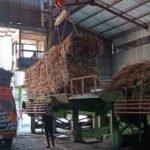PG Pesantren Baru Kediri giling 7,03 juta kuintal tebu di hari ke-136