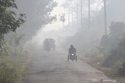 Kabut asap paksa Malaysia tutup sekolah