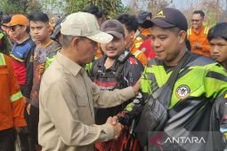 Wamenko Pangan: Pemerintah mitigasi dampak El Nino pada produksi beras