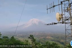Semeru erupsi dengan semburkan abu putih kelabu 200 meter
