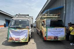 Bulog Jatim percepat penyaluran SPHP jagung untuk ternak