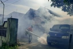 Dinkes Tulungagung pantau perkembangan kasus DBD