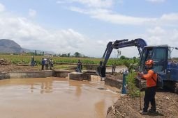 BPBD Tulungagung gunakan alat berat bersihkan sungai