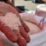 Harga beras medium dan premium naik tipis 0,16 persen