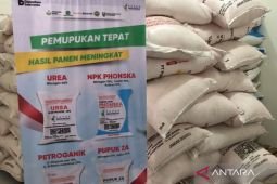 Pupuk Indonesia siapkan 8,5 ton pupuk subsidi di KDKMP Tambakrejo Sidoarjo