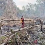 Prabowo gives Tabalong Rp10 billion for wildfire response