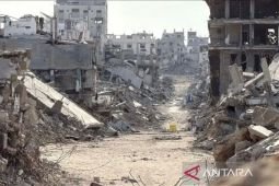 Korban tewas agresi Israel di Gaza bertambah jadi 74.480 orang