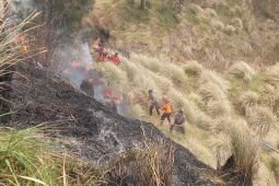 BPBD: Petugas meninggal dunia saat terjebak padamkan karhutla di Bromo