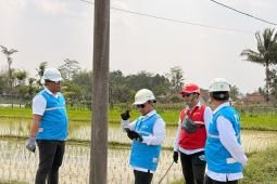PLN UP3 Situbondo lakukan penataan jaringan listrik untuk keselamatan