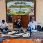 Pemkab Situbondo libatkan akademisi tingkatkan produksi sapi