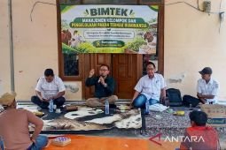 Pemkab Situbondo libatkan akademisi tingkatkan produksi sapi