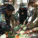 Prajurit TNI dan militer Australia latihan bertahan hidup di alam liar