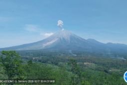 Semeru tiga kali erupsi dengan tinggi letusan hingga 1 km