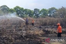 BNPB siap evaluasi pola penanggulangan karhutla demi cegah korban jiwa