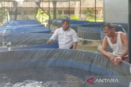KKP bantu warga Pamekasan tingkatkan produksi ikan budi daya