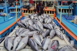Harga pangan hingga transportasi dorong inflasi tahunan 3,28 persen