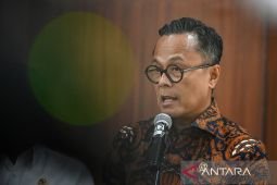 Danantara optimalkan peran KDKMP untuk distribusi kebutuhan pokok