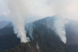BPBD Pasuruan padamkan kebakaran Gunung Arjuno-Ringgit secara manual
