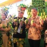 Kemendag dorong penguatan hilirisasi-ekspor mangga Kota Probolinggo