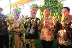 Kemendag dorong penguatan hilirisasi-ekspor mangga Kota Probolinggo