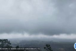 BPBD Lumajang: Getaran banjir lahar Semeru hampir empat jam