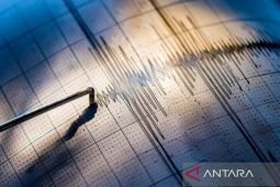 Gempa M 7,7 landa Panama, tak ada ancaman tsunami