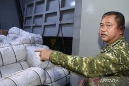 Maruli dilantik sebagai Wakil Panglima TNI merangkap Kepala BNPPDT