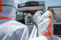 Kasus Ebola di Kongo turun setelah puncak pada Juli