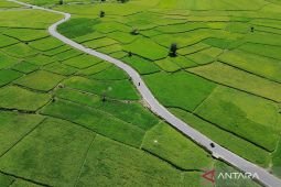 Pemerintah tak akan perluas pembukaan lahan sawah di kawasan hutan