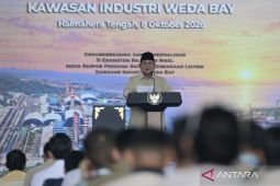 Prabowo pledges to protect all domestic, foreign investments