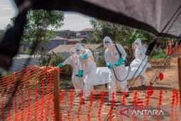 Kenya konfirmasi kasus kesembilan Ebola, semua terkait satu klaster