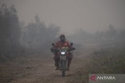 BMKG deteksi lonjakan 4.845 titik panas di Pulau Sumatera